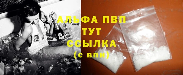 индика Беломорск