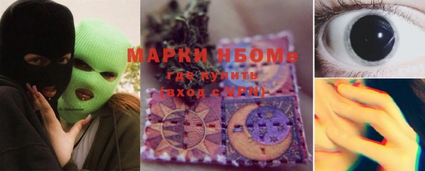 индика Беломорск