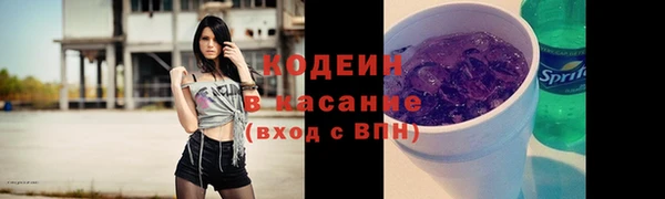 индика Беломорск
