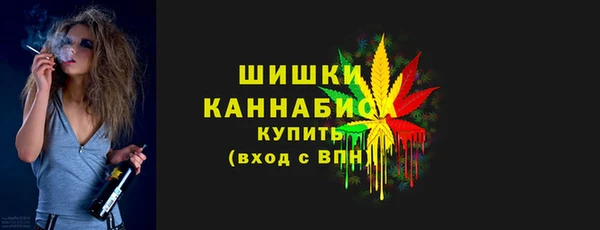 индика Беломорск