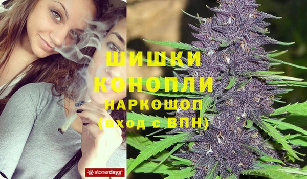 индика Беломорск