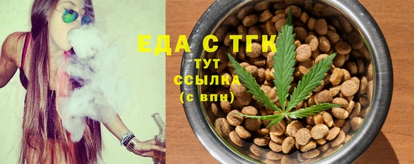 индика Беломорск