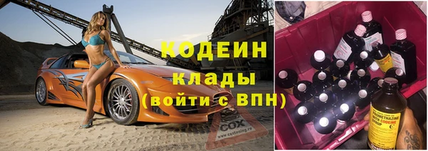 индика Беломорск