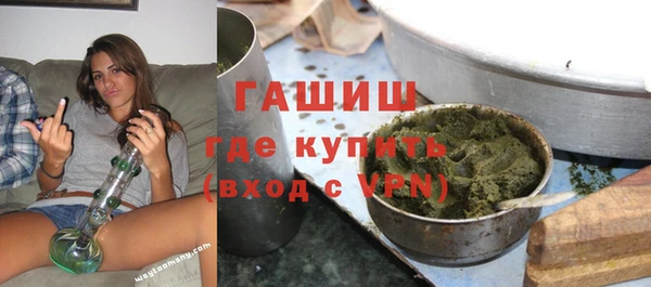 индика Беломорск